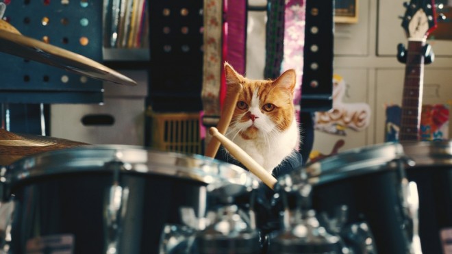 �u���C���o�C���v�̐VCM�uY!BAND �����v�т��