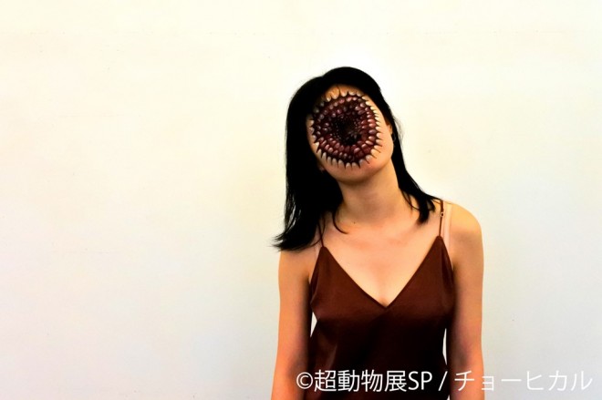 画像 写真 チョーヒカルのボディペイントアート集 5枚目 Oricon News