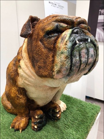 1���[�g���̋���u���h�b�O�P�[�L