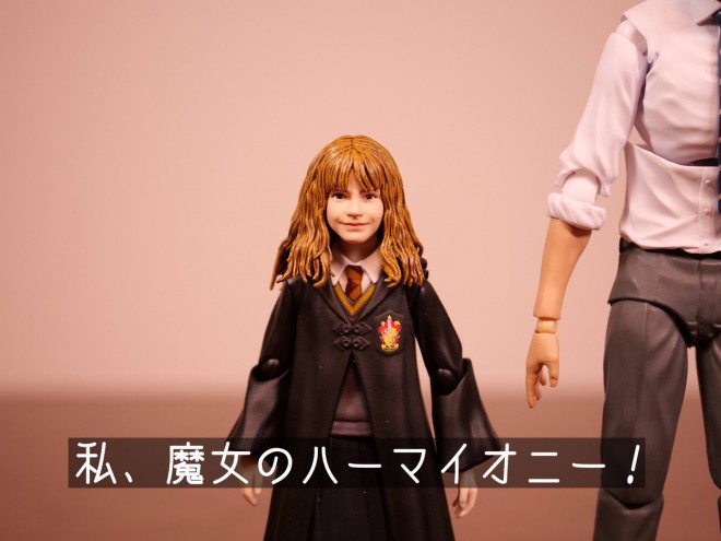 2019�N�X�^�[�g�I�i1/3�j