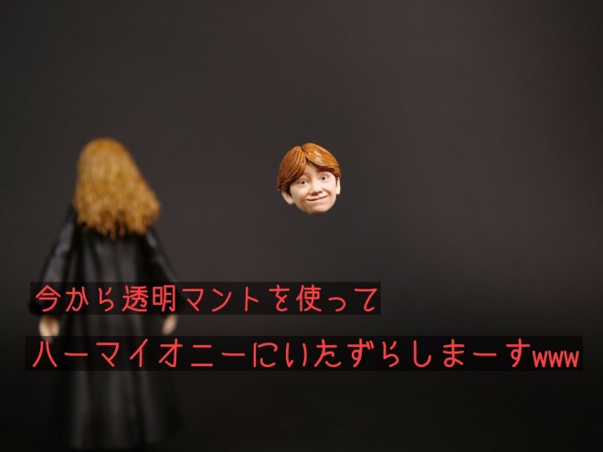 �������玸�s�i1/4�j