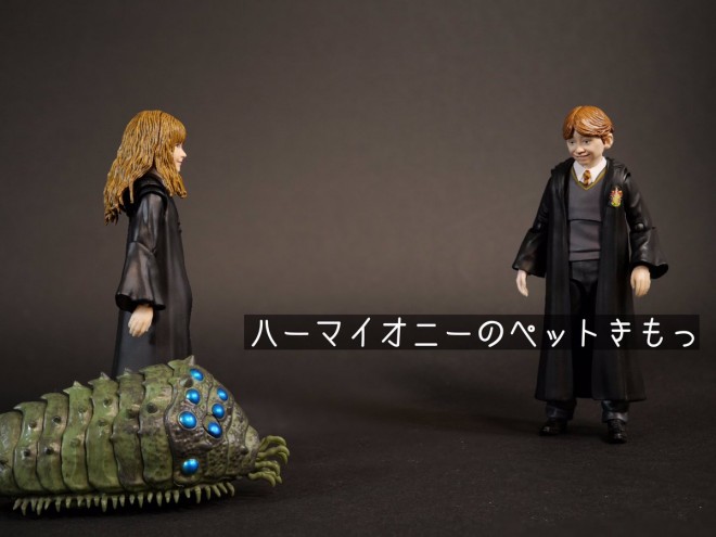 ���������H�i1/4�j