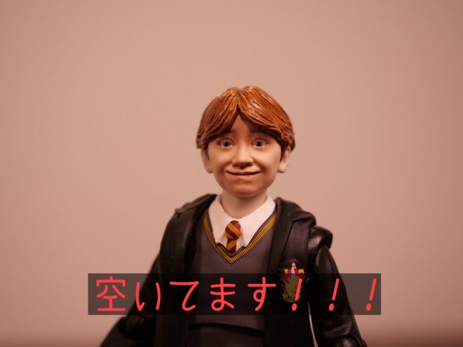 �N���X�}�X�P�[�L�i2/9�j