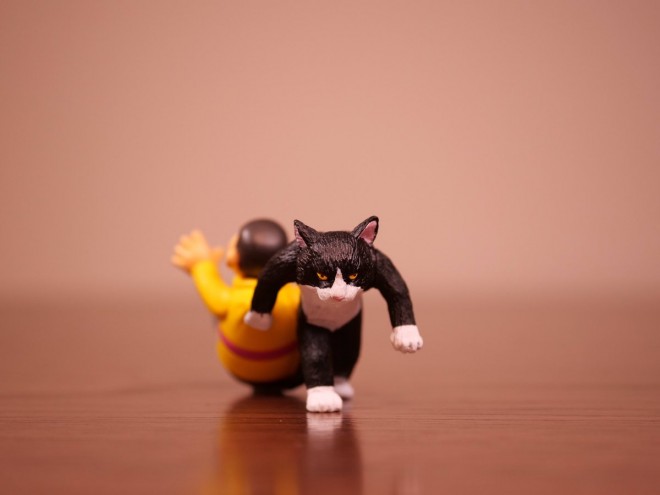 �������ā[�I���[�[����[�[��I�i1/2�j