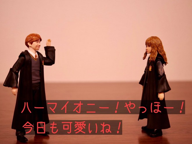 �z�O���[�c�̓��� vol.1�i1/4�j