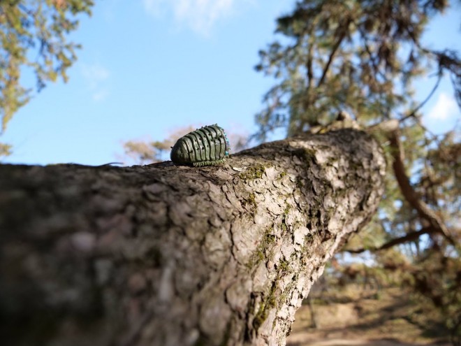 �؂�o�鉤峁i1/2�j