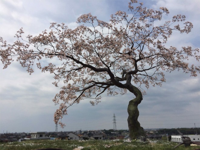 �s��M�G���Ƃ̍���