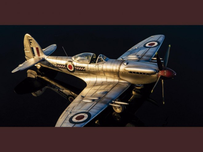 �y�X�P�[�����f���z���E�̍q��@�v�����f���^����F���{�B��