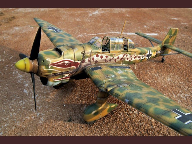 �y�X�P�[�����f���z���E�̍q��@�v�����f���^����F���{�B��