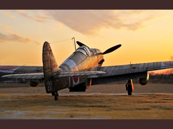 �y�X�P�[�����f���z���E�̍q��@�v�����f���^����F���{�B��