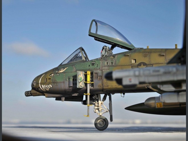 �y�X�P�[�����f���z���E�̍q��@�v�����f���^����F���{�B��