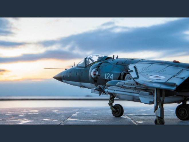 �y�X�P�[�����f���z���E�̍q��@�v�����f���^����F���{�B��