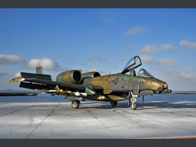 �y�X�P�[�����f���z���E�̍q��@�v�����f���^����F���{�B��