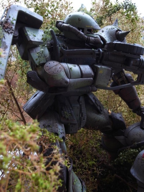 ����F���[����i@joukoko4�j