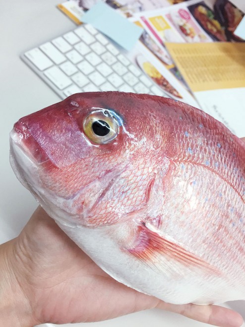 �u���킳���v����Twitter���u�I�t�B�X�Ƀt���b�V���^��v