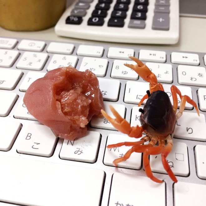 �u���킳���v����Twitter���u�T���K�j�Ɣ~��1�v���T���K�j�͑��Џ��i