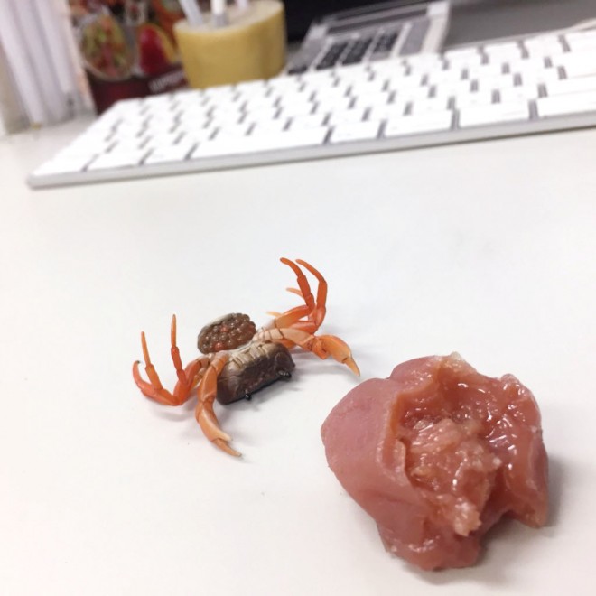 �u���킳���v����Twitter���u�T���K�j�Ɣ~��3�v���T���K�j�͑��Џ��i