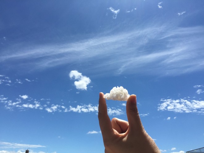 �u���킳���v����Twitter���u�_�`���܂����I���тł����v