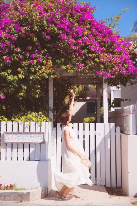 gAWvhɒ킵O46En糗i摜͎ʐ^WcCb^[j