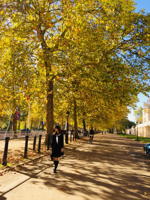 O46EїR1stʐ^WiItVbg܂ށj@Be^ؐS