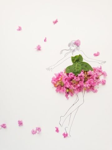 花びらとイラストでつくる はな言葉 に癒される人続出 鑑賞後の花に新たな価値を Oricon News