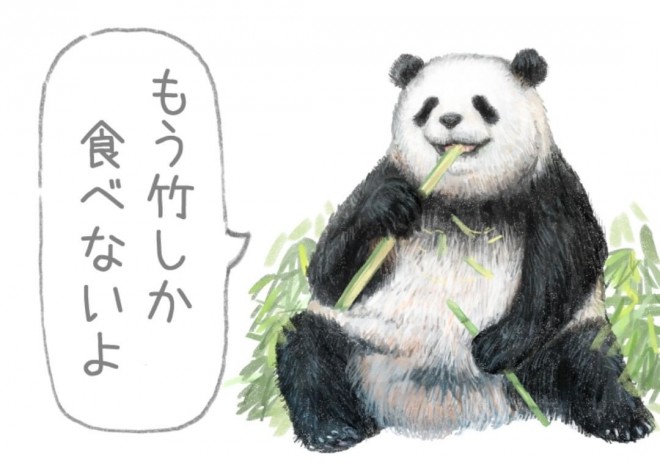 画像 写真 ダイエッターの心を打ち砕く 悪いこと言うパンダ イラスト集 19枚目 Oricon News