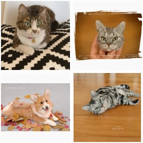 Miru.����̗r�уt�F���g��i�t�H�g�M�������[