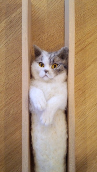 羊毛フェルト　mayuppe様 羊毛フェルト mayuppe様