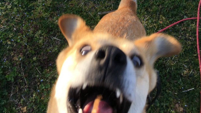 #���؂ꂢ��