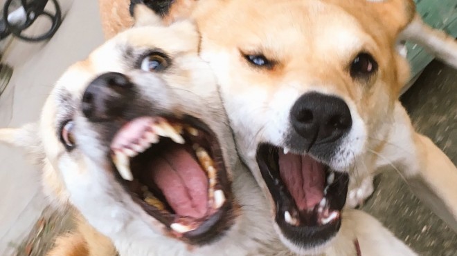 �����L����