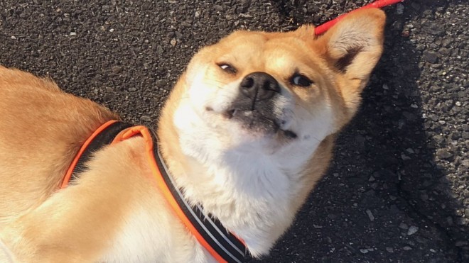 �����������Ă�