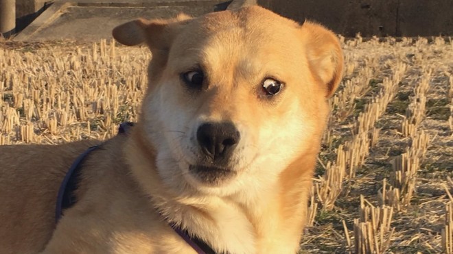 ���������ʂ���