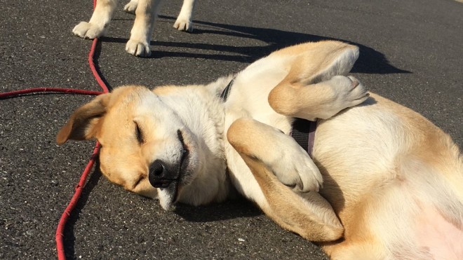 ���͂������錢