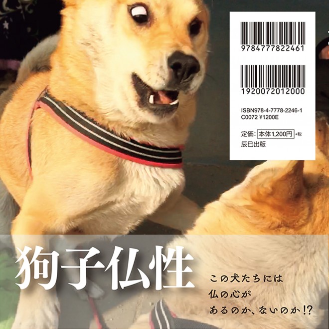 Snsざわつく じゃれ愛 話題 ２匹の保護犬飼い主 投稿見て幸せに暮らす犬増えれば Oricon News