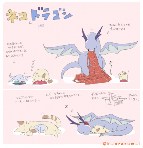 画像まとめ 猫に育てられたドラゴンのフォトギャラリー Oricon News