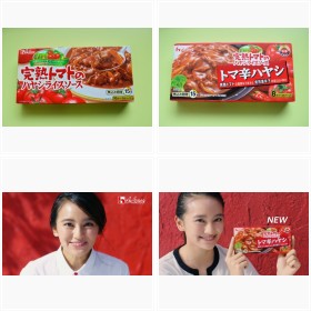 辛いハヤシライス!? ハウス食品のフォトギャラリー