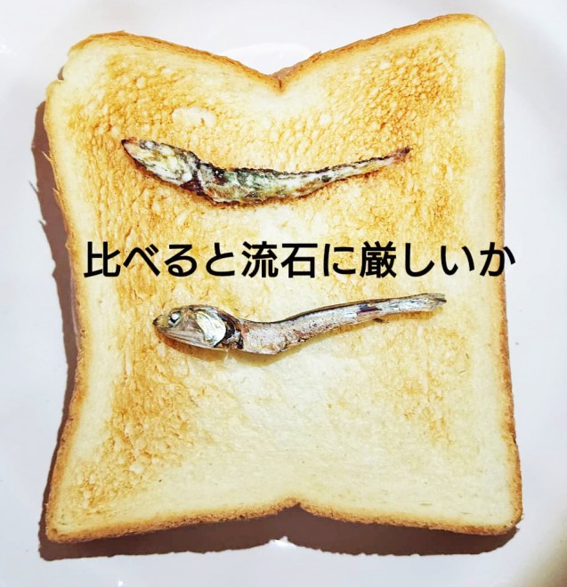 画像 写真 主婦azusaさんの作る 奇妙なトーストアート 名品集 2枚目 Oricon News