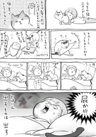 画像まとめ 漫画 犬と猫どっちも飼ってると毎日楽しい フォトギャラリー Oricon News