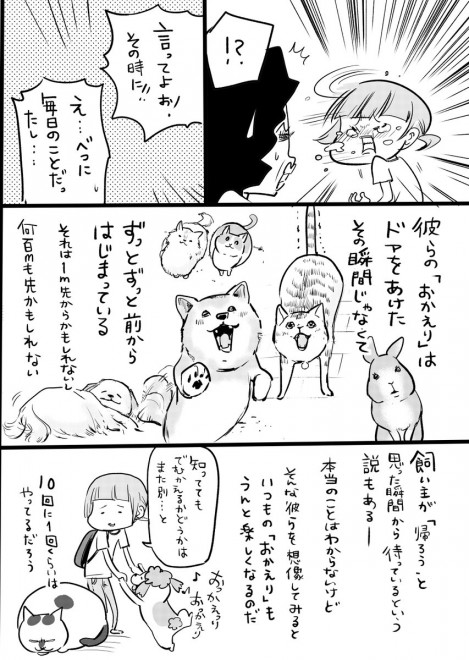 画像 写真 漫画 犬と猫どっちも飼ってると毎日楽しい フォトギャラリー 30枚目 Oricon News