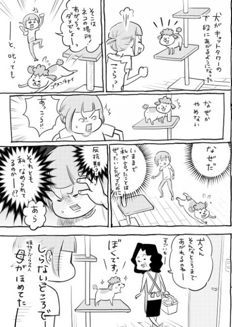 �w���ƔL�ǂ����������Ă�Ɩ������̂����x��҂̏��{�Ђŋg����̖����C���X�g