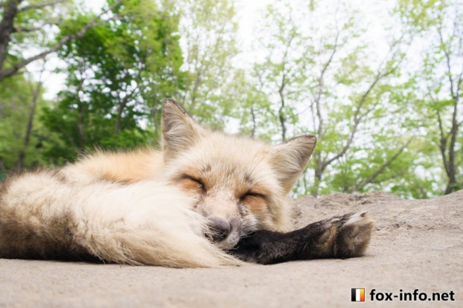 (?��?)�Խ���c