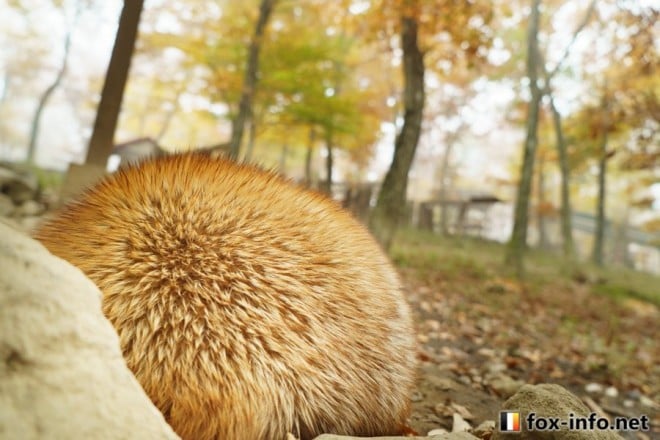 �_��ײ�ް�ޯ�ݸ�Ӱ�� ��ײ�ް�ޯ�ݸ�Ӱ�ށ^���̒e���ˁI