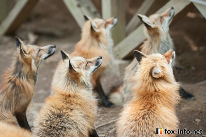 �c���̎���҂B