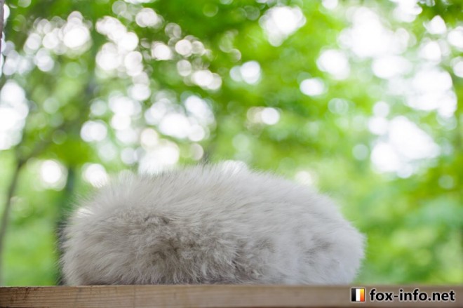 ���L�c�l�ł�