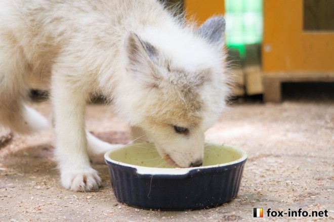 ���������Ȃ���