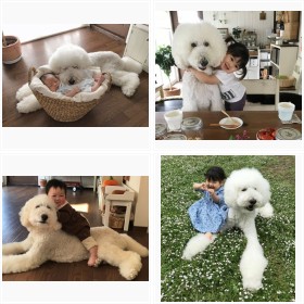 �܂�łʂ�����݁A���ӂ��Ӄv�[�h���ƓV�g�̑������̒��ǂ��t�H�g�W