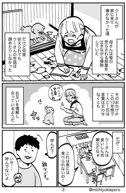 アイドルすぎるトイプー描くマンガ作者に聞く 愛犬を通して見える 人との関わり Oricon News