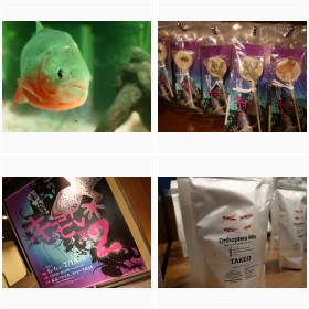 �y�{�����Ӂz�������H�ɃS�L�u���^���[���@�u�L�����W�v�S���҂ɕ����q�b�g�̗��R