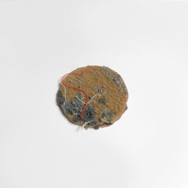 ���̊Ԃɂ��֎q����O��Ă������h�~�t�F���g