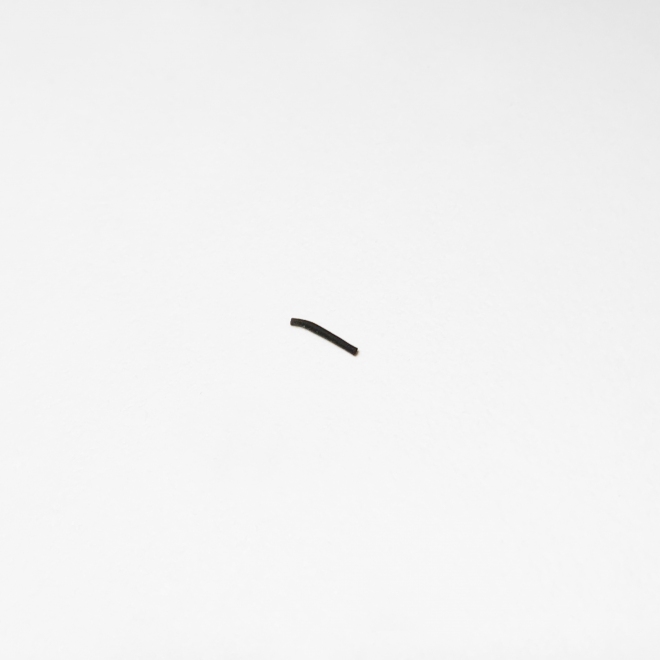 �^�C���̖�